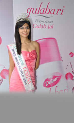 Dabur Gulabari - Rose Water, Moisturizing Cream and Body Lotion